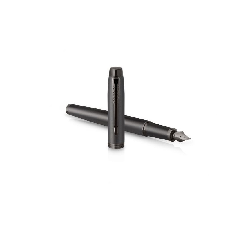 PARKER Ι.Μ. MONO TITANIUM FPen F