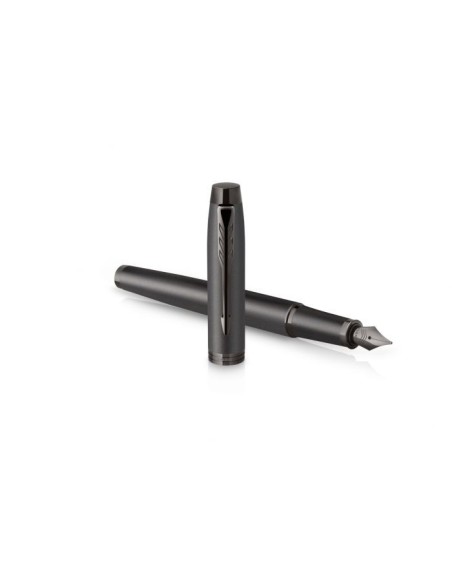 PARKER Ι.Μ. MONO TITANIUM FPen F
